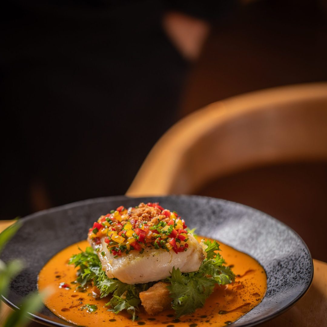 Cotoa – Ecuadorian Born. Globally Inspired